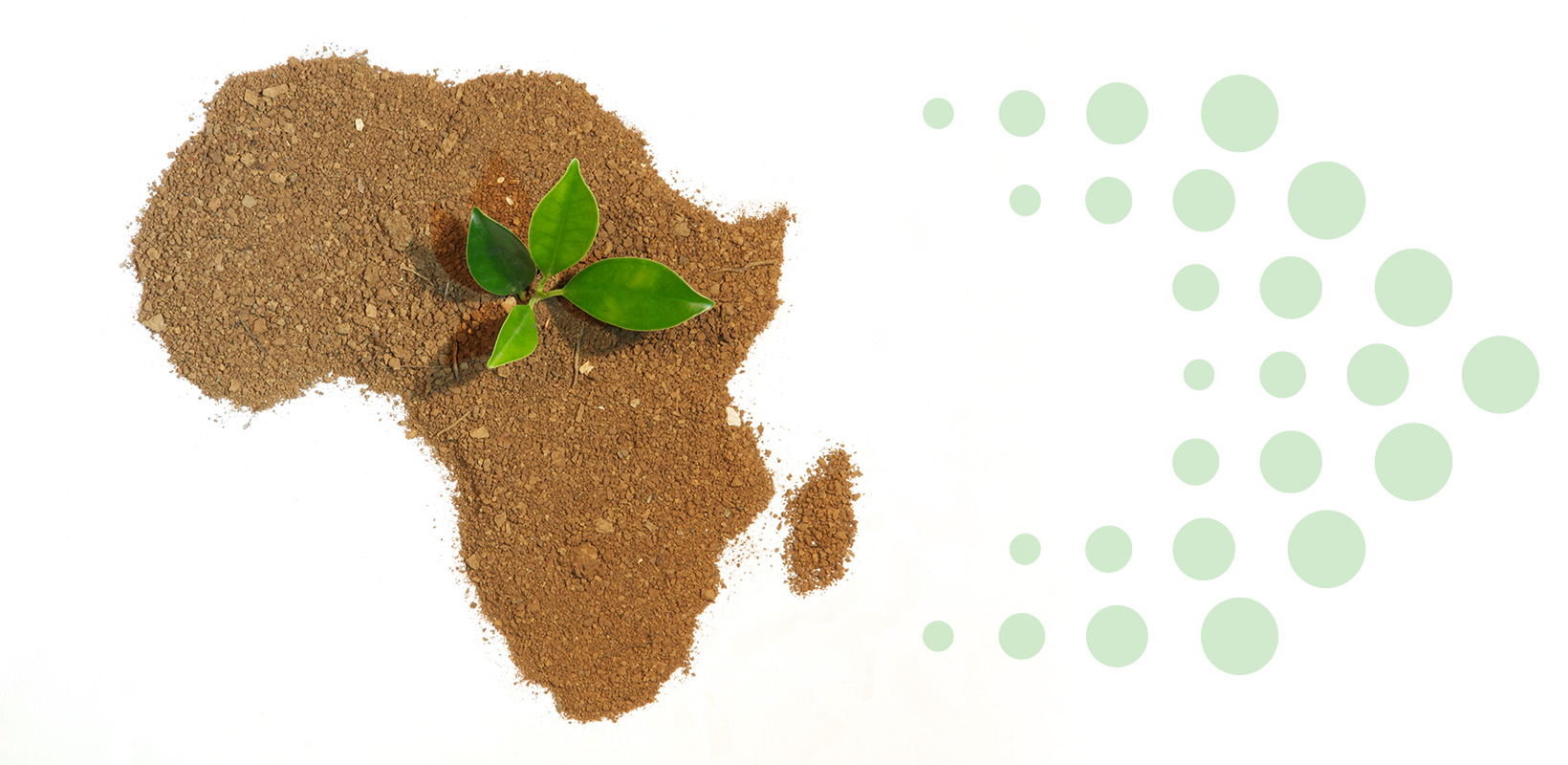 africa map plant solevo arrow